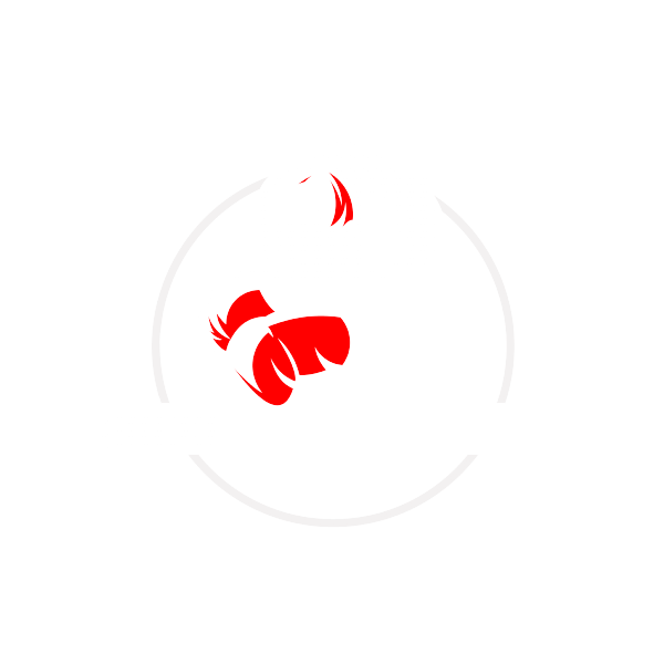 Boxing Bootcamp Nijmegen
