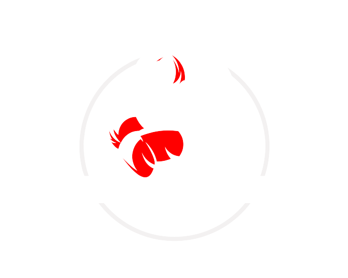 Boxing Bootcamp Nijmegen