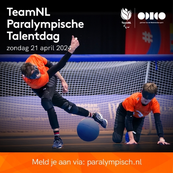 1-1 Frank en Joost van de Kreeke - goalball.jpg
