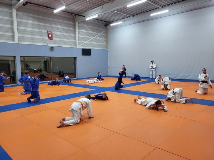 Foto judo RAAK.jpg