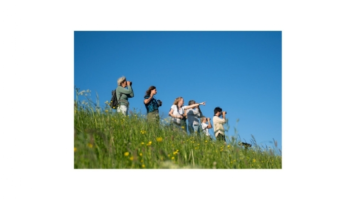 Ontwerp zonder titel.jpg