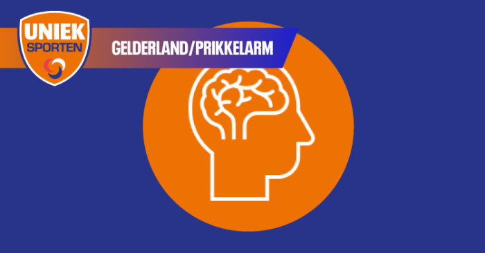 Afbeelding webinar.png