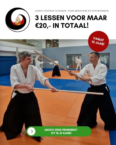 Introductiecursus Aikido Centrum Nijmegen.jpg