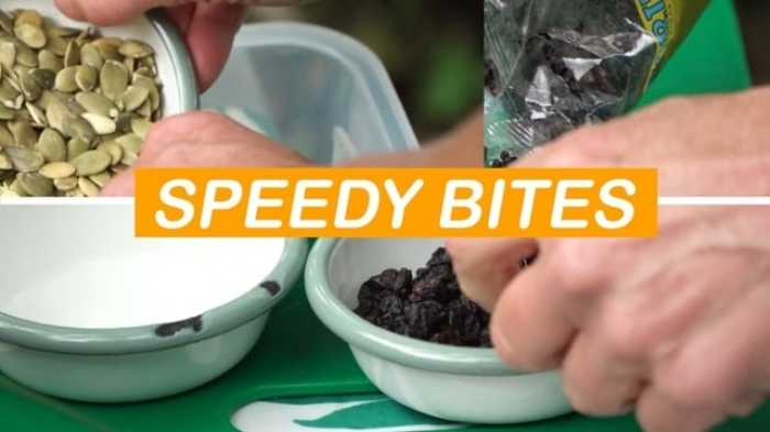 Speedy Bites